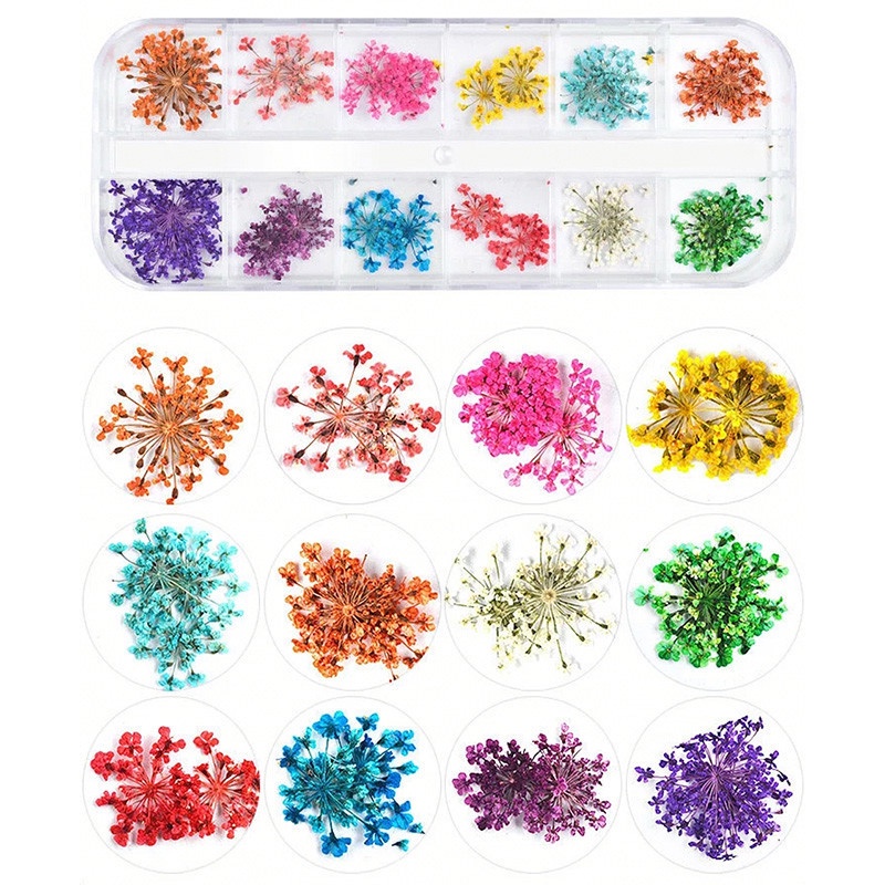 Set Hoa khô trang trí móng cánh nhỏ 12 màu