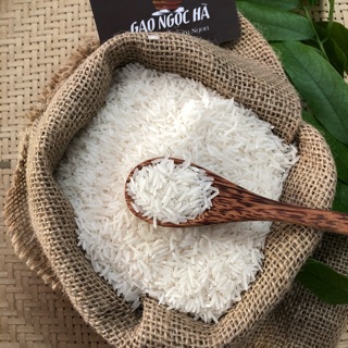 Gạo ST25 ngon nhất thế giới 1kg