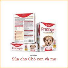 Sữa chó predogen 110gram