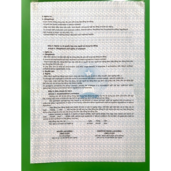 Hợp đồng lao động - 10 tờ - A3