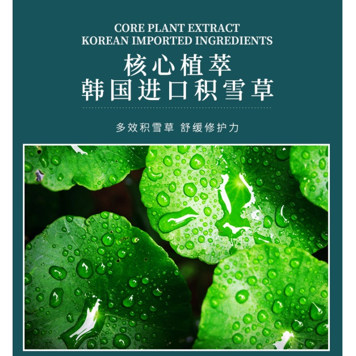 COMBO 20 Mặt Nạ Ngủ Rau Má Baizton Centella Se khít lỗ chân lông, Kiểm Soát Dầu Giảm Mụn, Giúp Săn Chất Và Da Căng Mọng