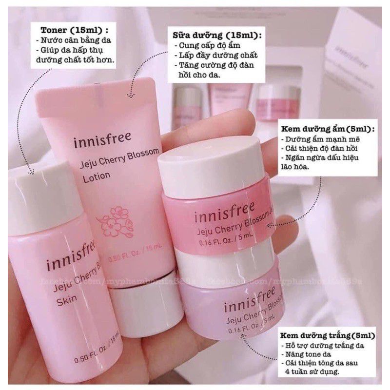 Set Dưỡng Da mini Innisfree Jeju Cherry Blossom Trial Kit