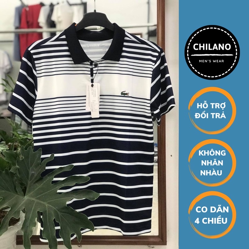 Áo polo cộc tay cho nam vải cotton gai co dãn thoải mái, không bai xù C01