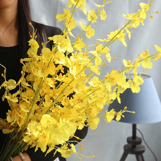 Hoa giả - Hoa Lan vũ nữ