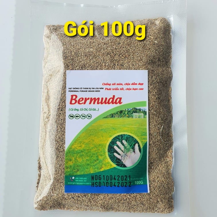 Hạt Giống Cỏ Bermuda (Gói 100g) Cỏ Ống, Cỏ Chỉ Trồng Trang Trí Sân Vườn