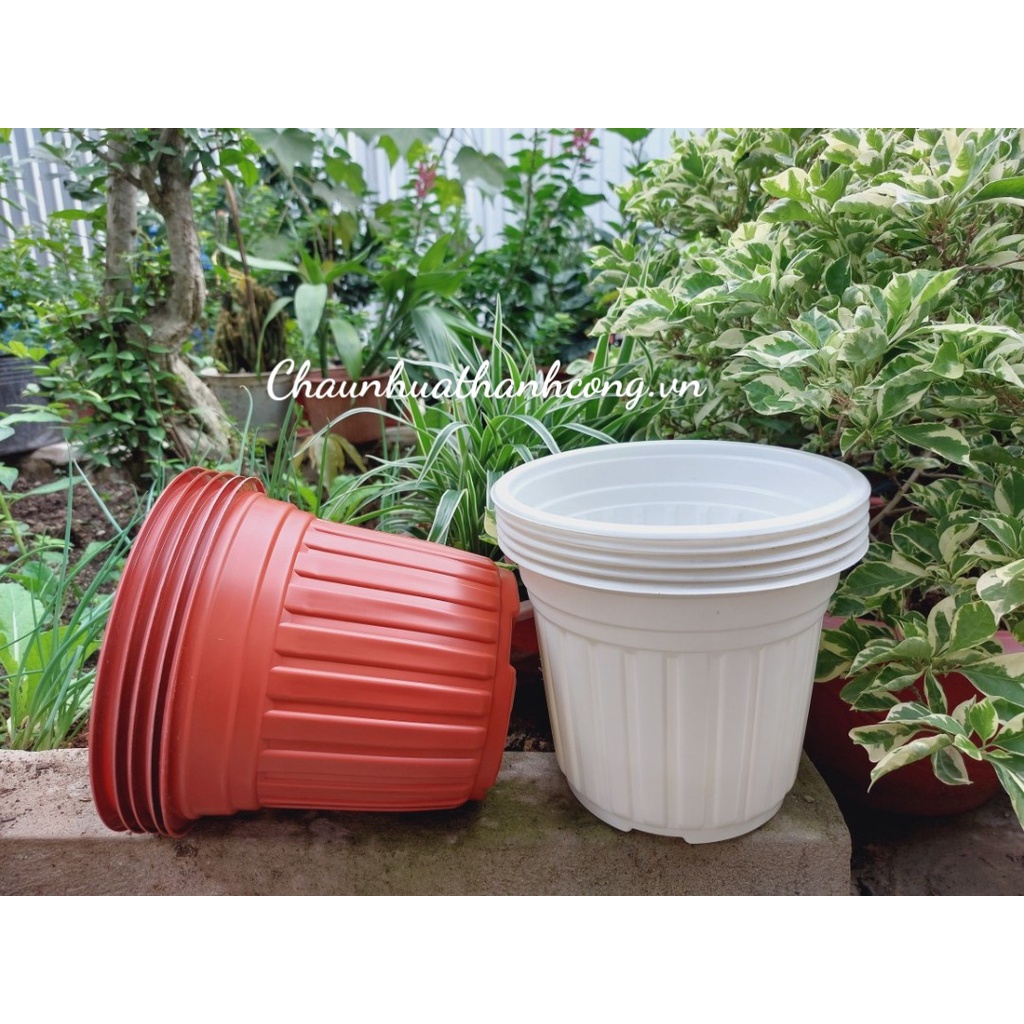 Combo 10 Chậu nhựa 18x14,6cm trồng sen đá, dâu tây, cây giống, thoát nước tốt