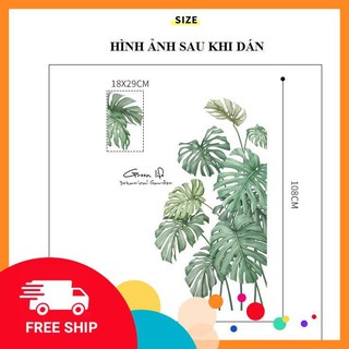 ⚡️𝗙𝗥𝗘𝗘𝗦𝗛𝗜𝗣⚡️ Decal dán tường Lá bách thảo