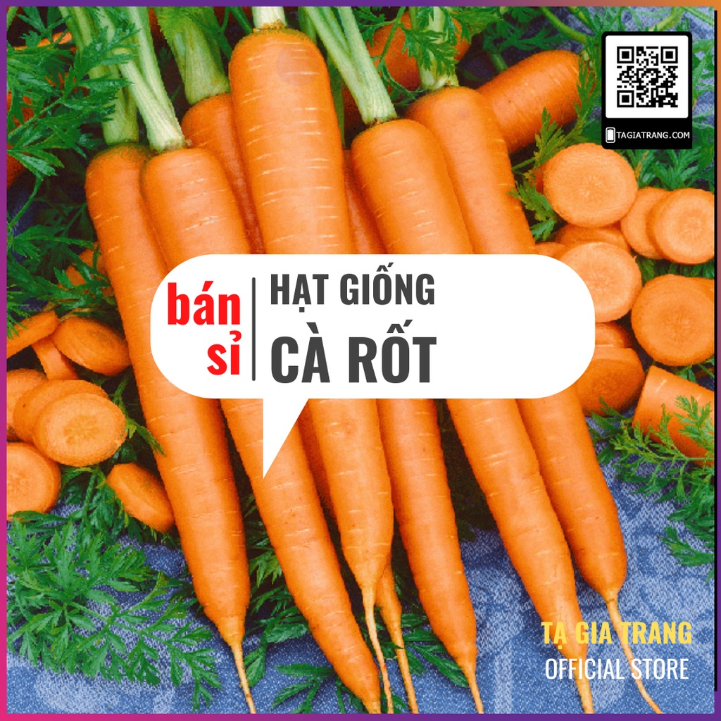 [Bán sỉ] - Hạt giống cà rốt cao sản