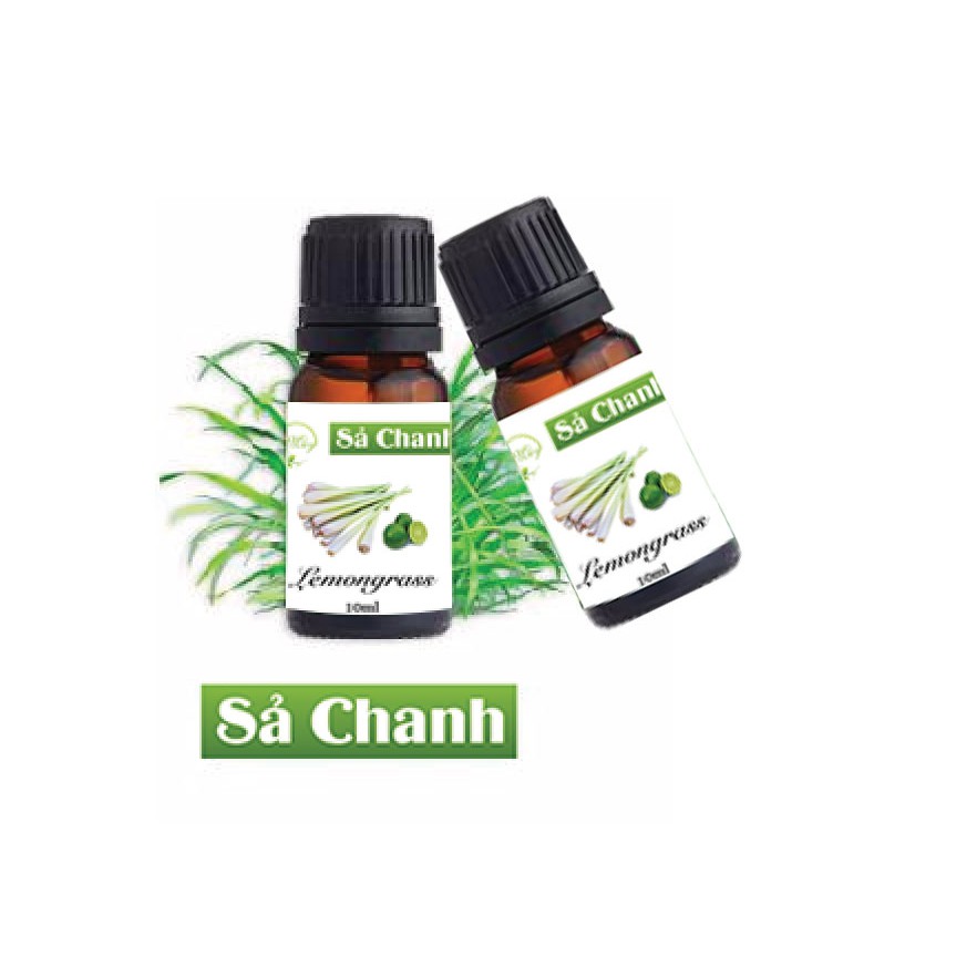 Tinh dầu Sả Chanh - tinh dầu thiên nhiên nguyên chất Bibebo 10ml