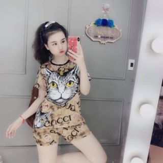 Combo 5 bộ thun lanh