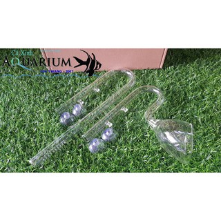 BỘ IN - OUT THỦY TINH PHI 16