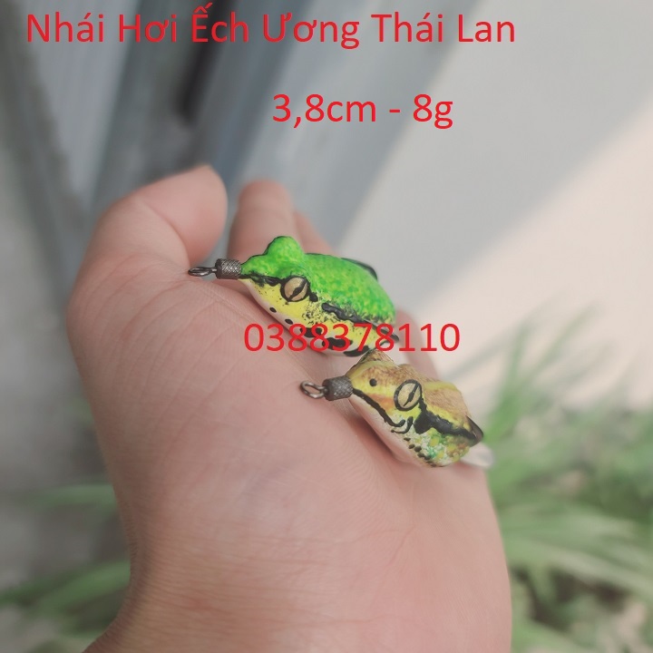 Mồi Câu Cá Hơi Ếch Ương Thái Lan