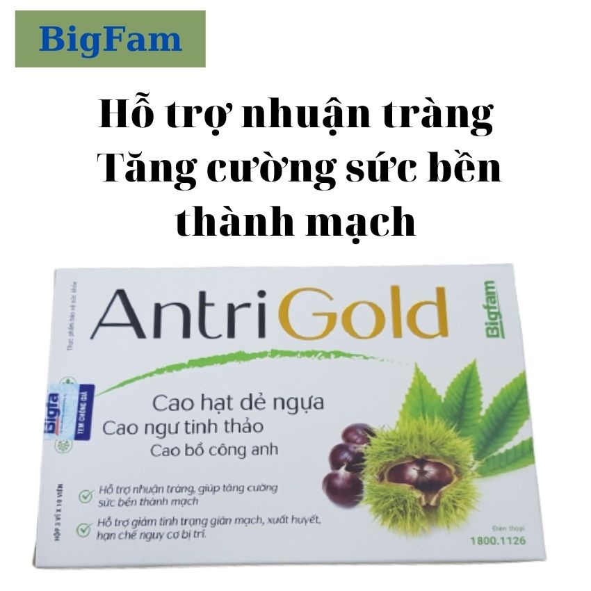 ANTRI GOLD BIGFAM - Viên Uống Ngừa Trĩ, Nhuận Tràng, Bảo Vệ Thành Mạch Hộp 30 Viên