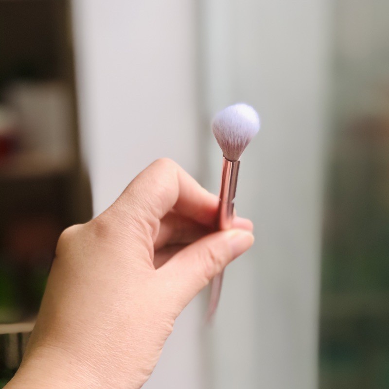 Cọ Highlight Wet n Wild Tapered Highlighting Brush Proline