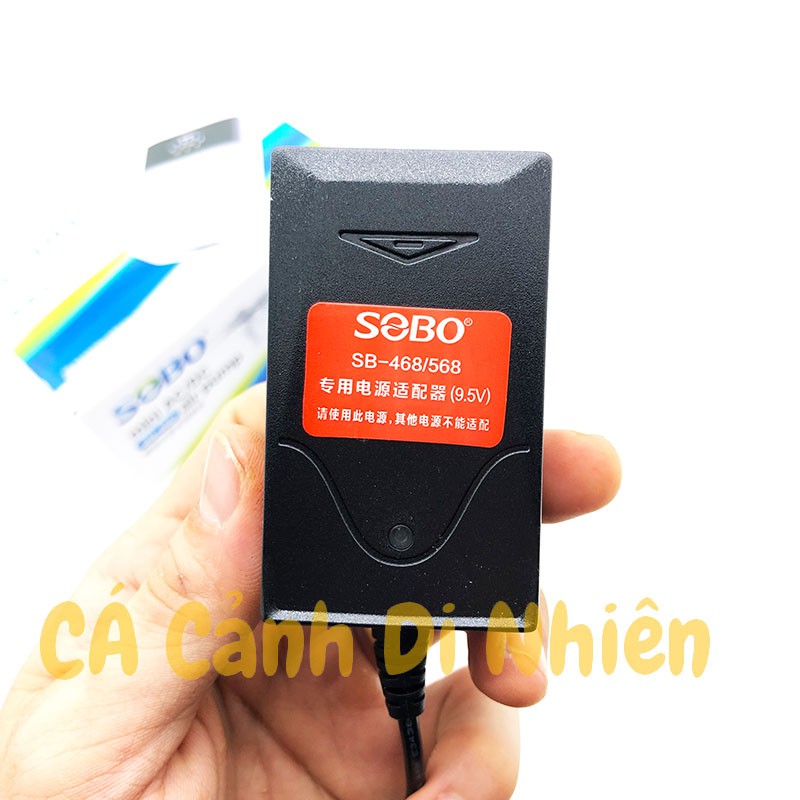 Máy sủi khí oxy Tích ĐIện 2 vòi SOBO SB-468 cho hồ cá cảnh