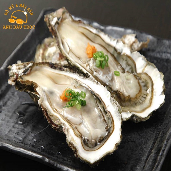 Hàu Nhật Hyogo 1kg | Hàu Sữa Nhật | Chuẩn Sashimi | Giao Siêu Tốc HCM