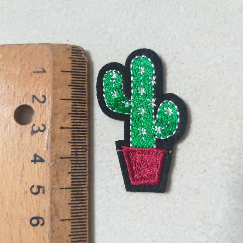 Hình ủi xương rồng mini trang trí