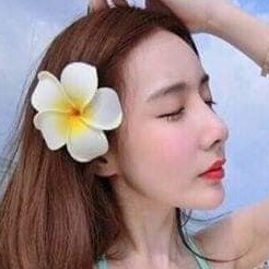 Combo 10 bông hoa đại cài tóc