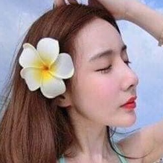 Combo 10 bông hoa đại cài tóc