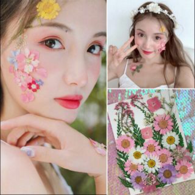 Hoa ép khô trang trí decor - trang điểm - nến handmade