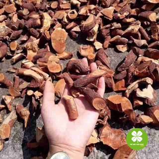 Cây mú từn (1kg) - TD118