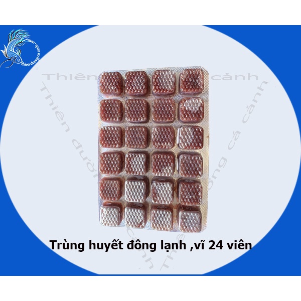 Trùng huyết đông lạnh vĩ 24 viên trọng lượng 100gam ,trùng huyết dạng viên,thức ăn dinh dưỡng  cho cá cảnh