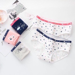 Set 5 quần lót cotton 100% siêu kute