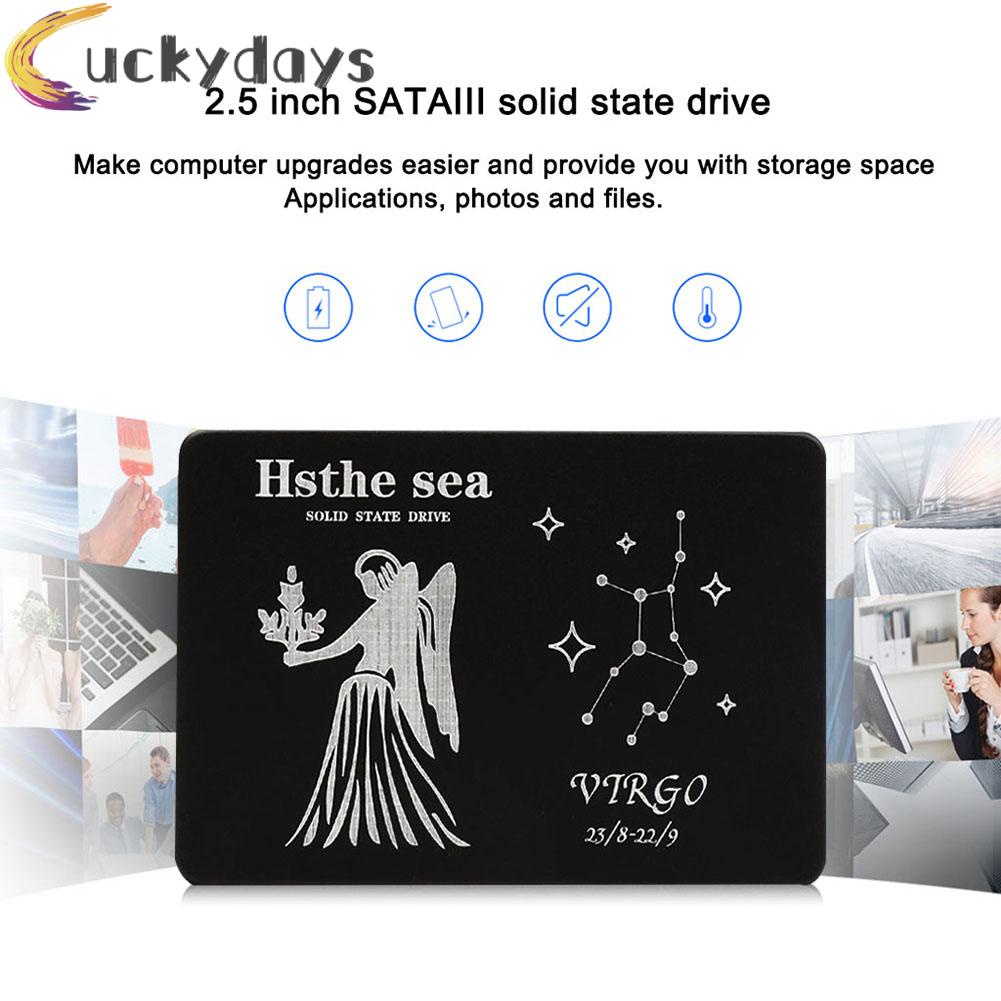 LUCKYDAYS 2.5 SATA III Internal SSD Solid State Drive Virgo Pattern for Computer PC | BigBuy360 - bigbuy360.vn