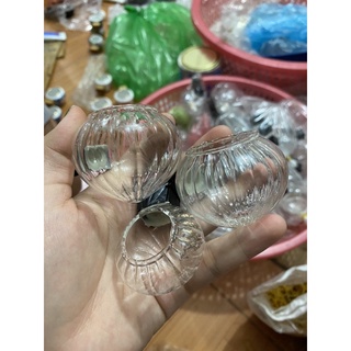 Cóng mào thuỷ tinh tai mun