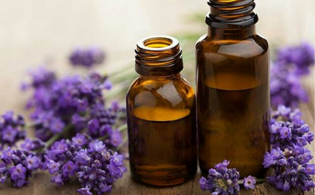 Tinh Dầu Oải Hương Lavender Ấn Độ Nguyên Chất đuổi muỗi, giảm căng thẳng, lo âu, mất ngủ, xông phòng freeship NuCare