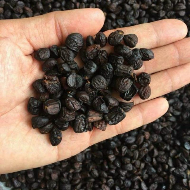10 hạt dổi nếp cổ thụ cực thơm ngon(loại 1)