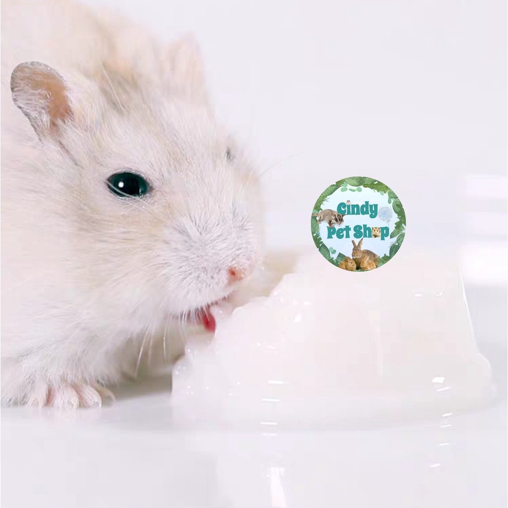 Pudding sữa dê Jonsanty cho Hamster