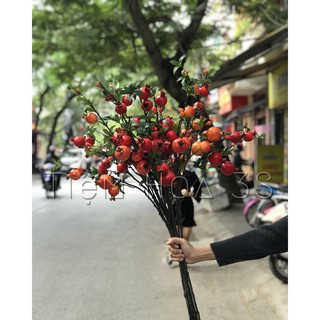 THANH LÝ HẾT LÔ LỰU 9 QUẢ - CÀNH CAO 1M QUẢ TO