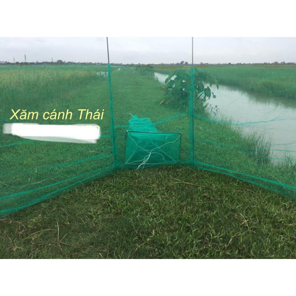 Đăng chặn sông, cống - bắt tôm tép tất cả các loại cá - Dớn bắt cá, cua, lươn  03