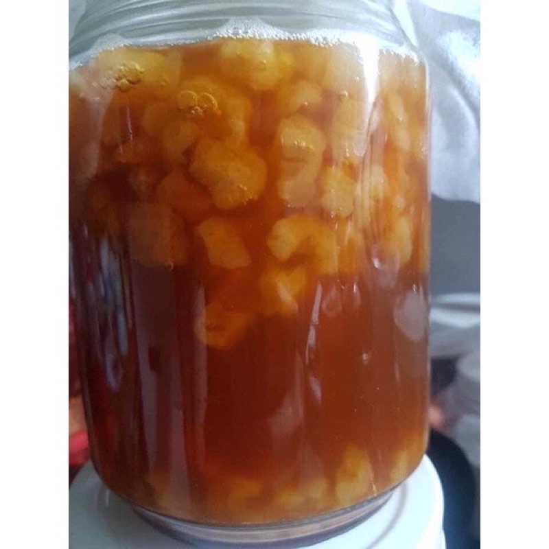 Nấm nước kefir- Water kefir - Nấm làm nước dừa, nước ngọt có gas