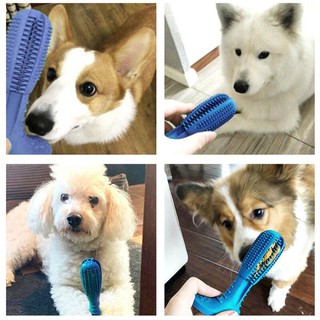 Dụng cụ đánh răng cho chó DOG TOOTHBRUSH (FDA Approved) - Home and Garden