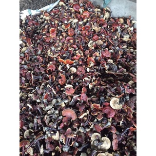 250g nấm lim xanh
