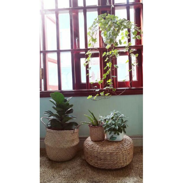 Chậu cây giả, giỏ cói trồng cây cảnh trong nhà cỡ lớn có quai xách decor vintage thân thiện môi trường GC-01