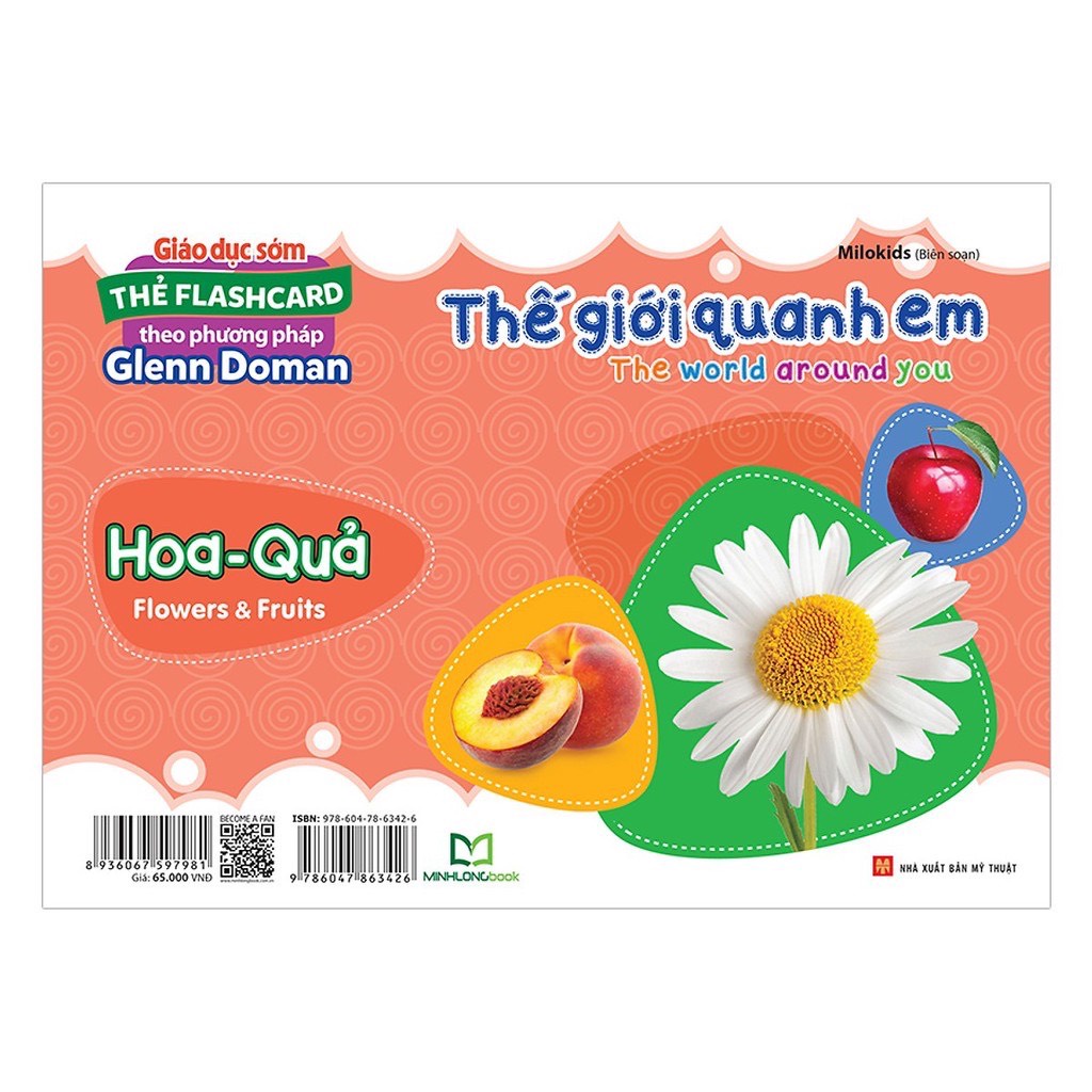 Sách - Thẻ flashcard theo phương pháp Glenn Doman Thế giới quanh em - The world around you - Hoa Quả