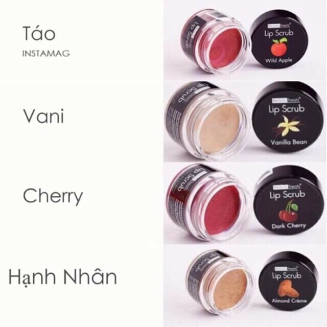 TẨY DA CHẾT MÔI BEAUTY TREATS LIP SCRUB ĐỦ VỊ | BigBuy360 - bigbuy360.vn