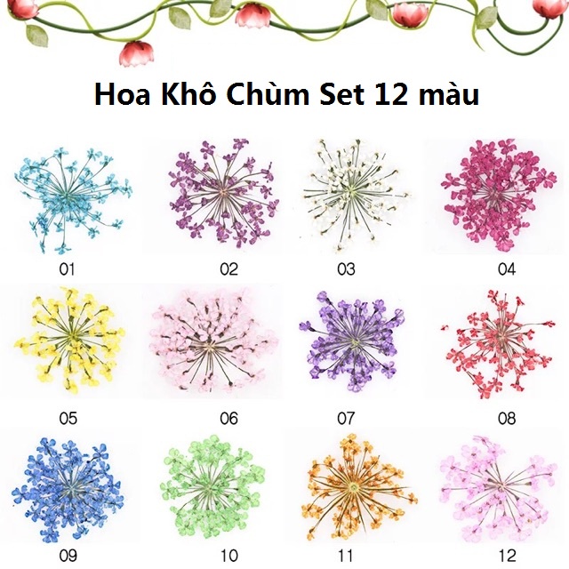 Phụ kiện trang trí móng tay hoa khô Chùm - Set 12 màu