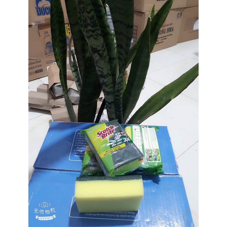 Miếng rửa chén Scotch-Brite 2 lớp cước 2 công dụng.