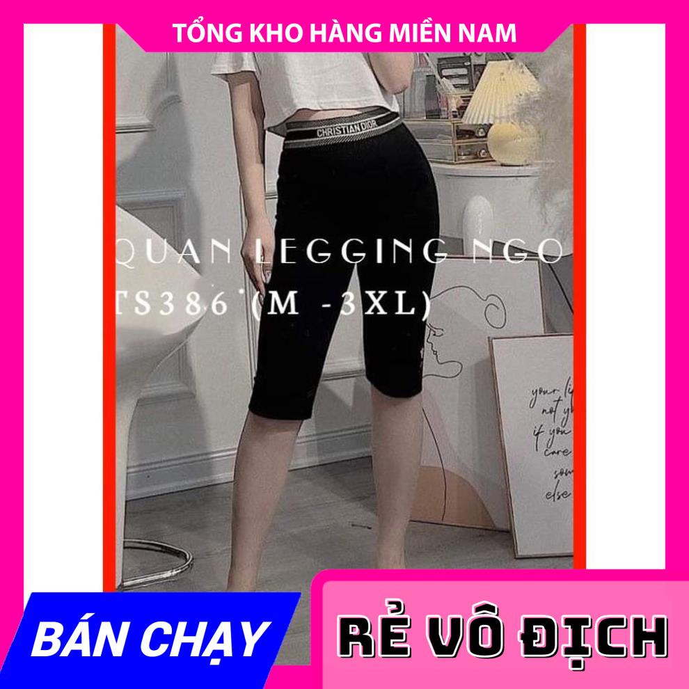 QUẦN THUN LỬNG LƯNG ĐAI CAO CẤP TS386 ⚡ẢNH THẬT⚡ QUẦN NGỐ LƯNG THUN ⚡ QUẦN LỬNG NỮ ⚡ QUẦN NGỐ GIÃN
