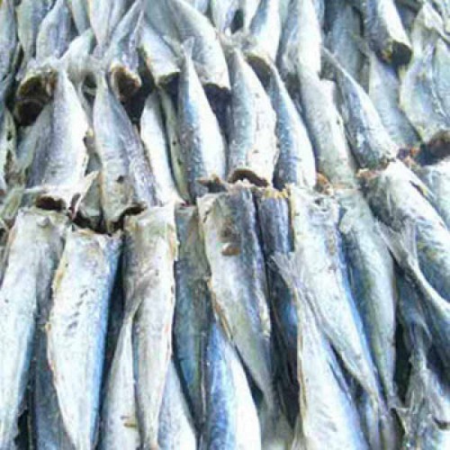 Cá nục khô, Khô cá nục mặn - 500g