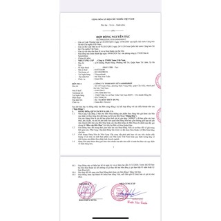 Son thỏi KYS