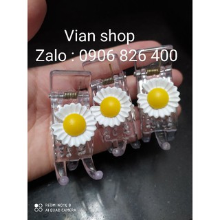 1 KẸP HOA CÚC TRẮNG TRONG