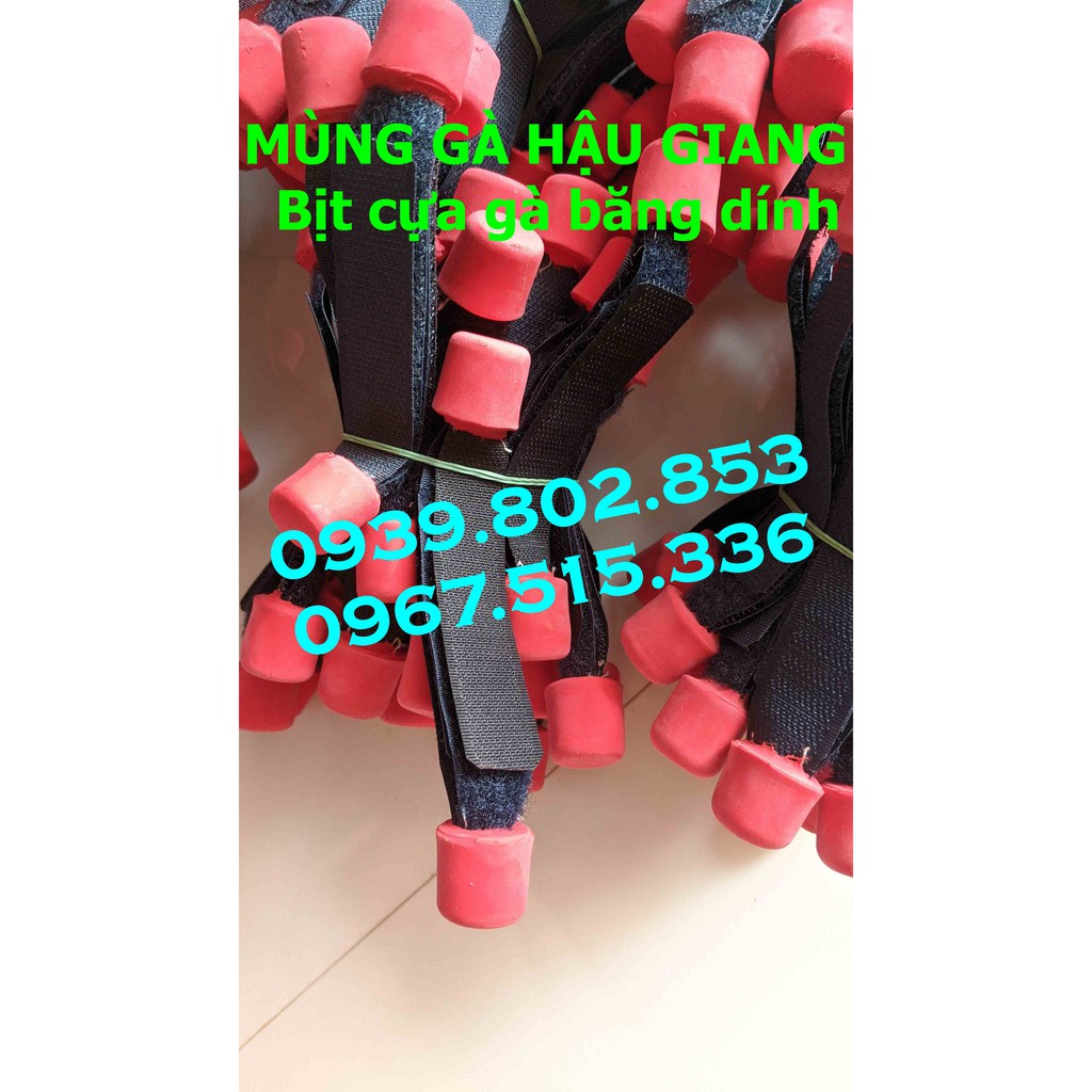 Bịt cựa gà giá sỉ - Bịt chốt xổ gà- Xổ gà