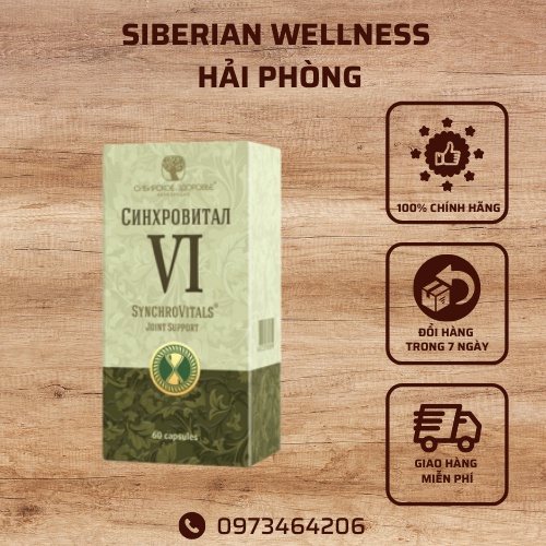 Hỗ trợ giúp tăng tiết dịch nhầy khớp  Synchrovitals VI Siberian Wellness