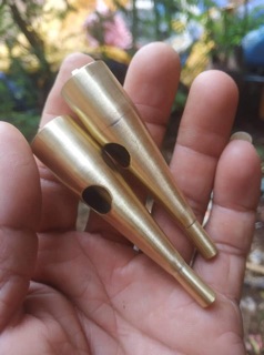 Kèn Gà Mái Rừng