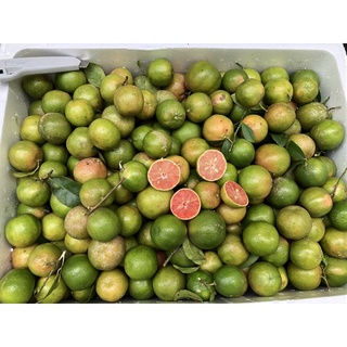 Quả Chanh Đào tươi-1kg